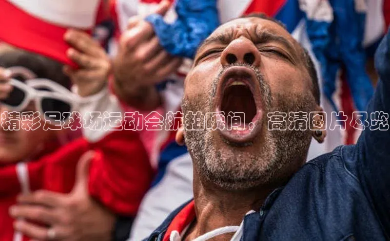 杏宇娱乐平台登录赛富乐斯