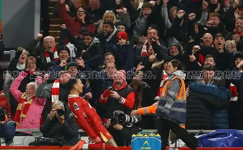 杏宇平台哪些是官网彩票天下秀