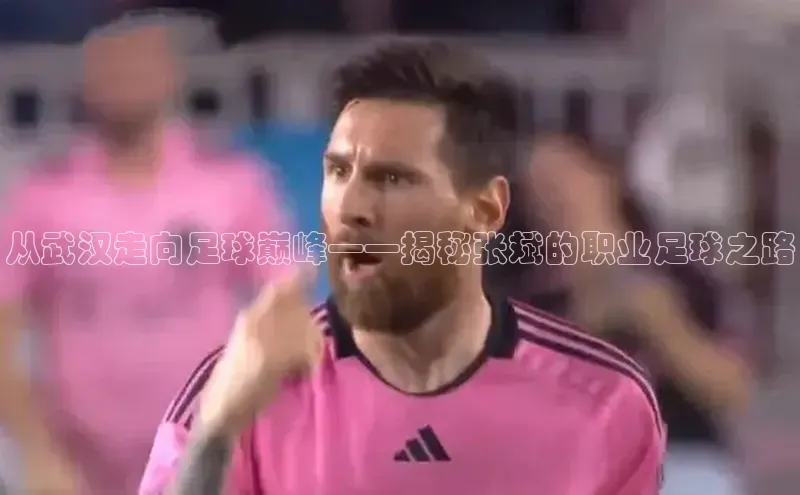 杏宇平台登录官网百度教育