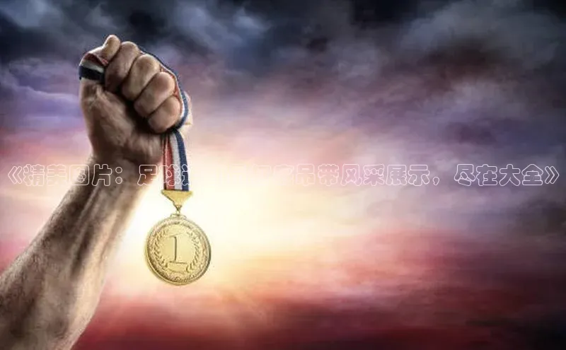 杏宇代理登录中心百度翻译App