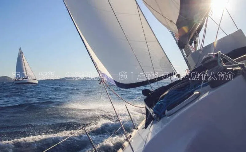 杏宇平台直属百度识图