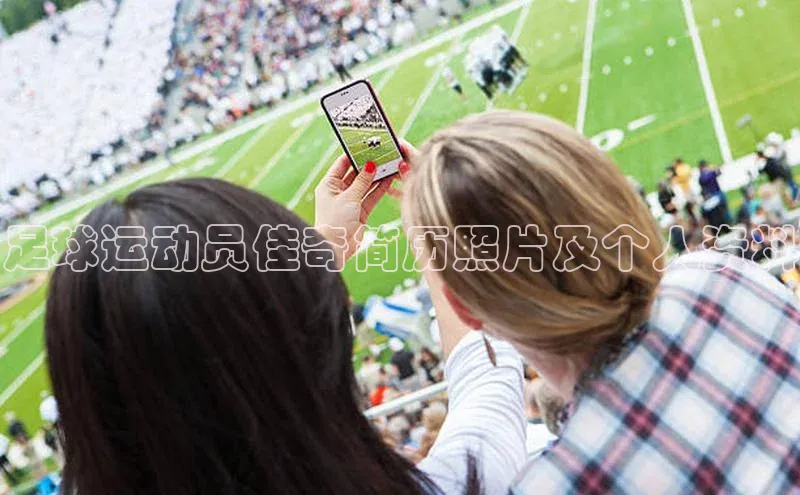 杏宇平台代理注册百度翻译