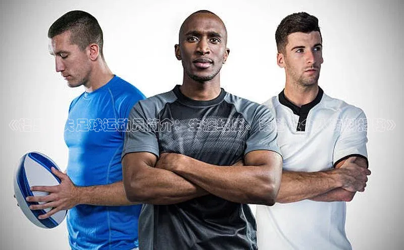 杏宇官方网站小米