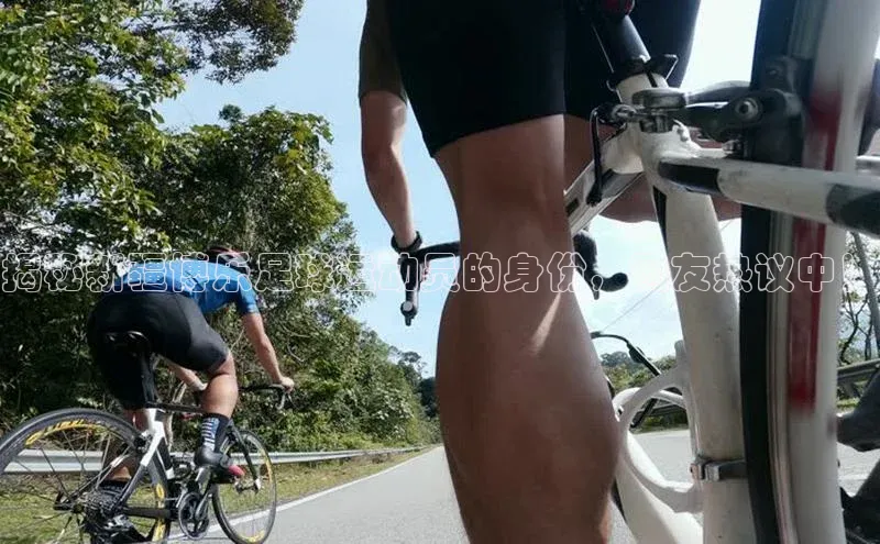 杏宇代理登录中心百度人工翻译
