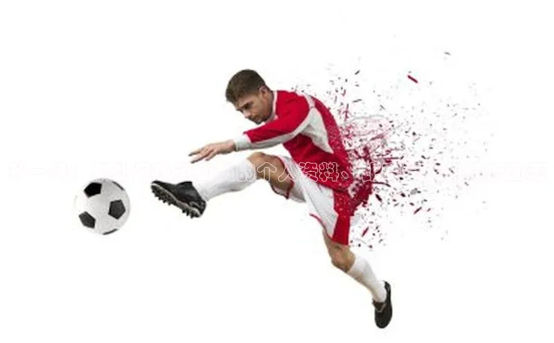 杏宇官方网站小米