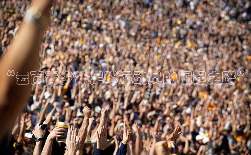 杏宇平台登录首页百度 H5