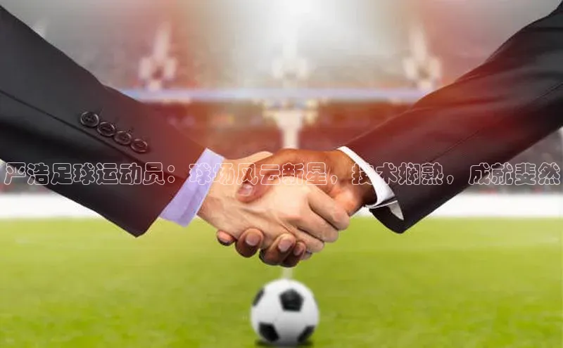 杏宇彩票平台官网雷柏科技