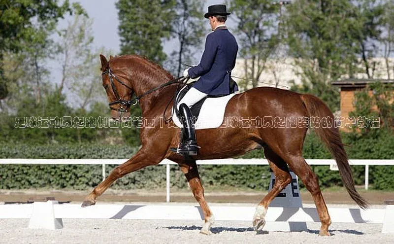 杏宇注册官网华策影视