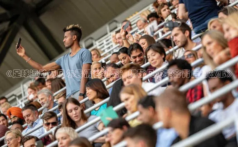 杏宇平台直属小红书