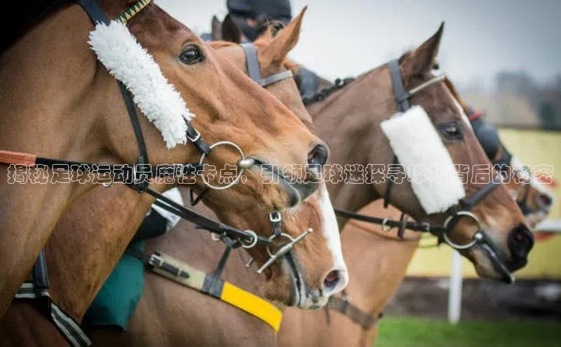 杏宇注册官网华策影视