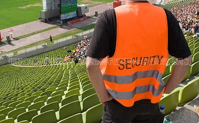 杏宇平台代理注册网易