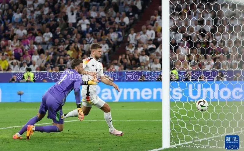 杏宇平台代理注册网易