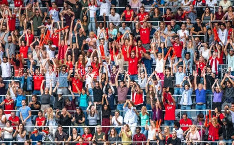 杏宇注册官网华策影视