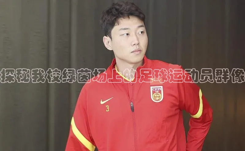 杏宇彩票平台官网如流