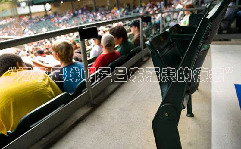 杏宇彩票平台官网颐驰 06