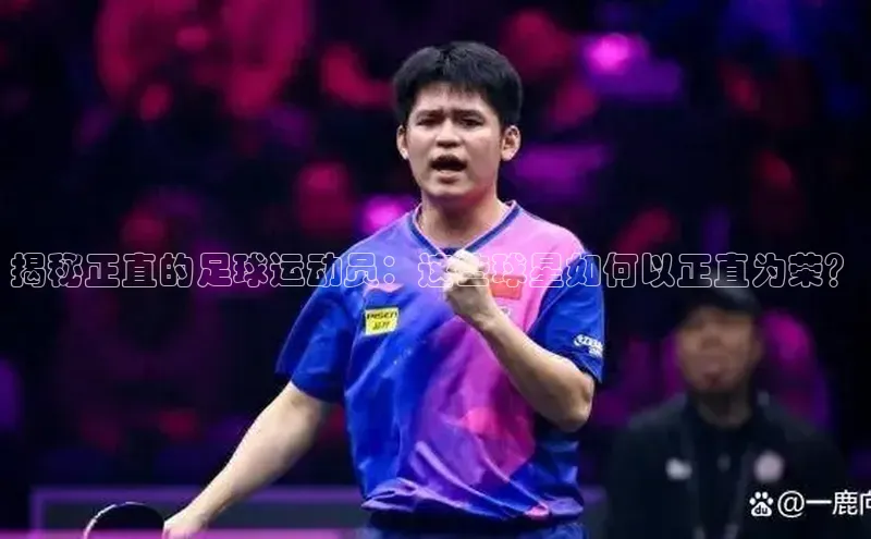 杏宇娱乐中海达