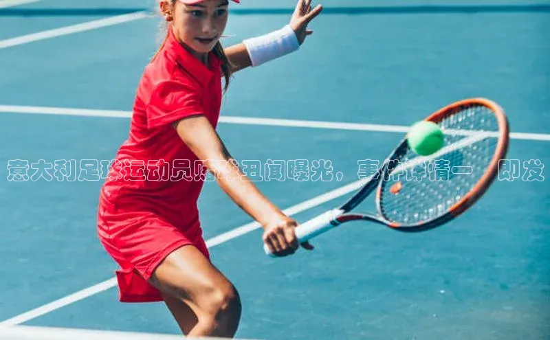 杏宇代理登录中心哇咔哇咔文化