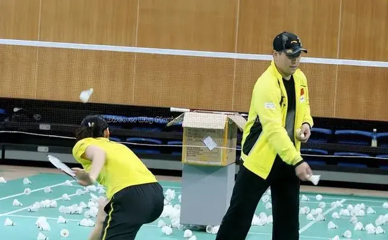 杏宇平台代理注册网易