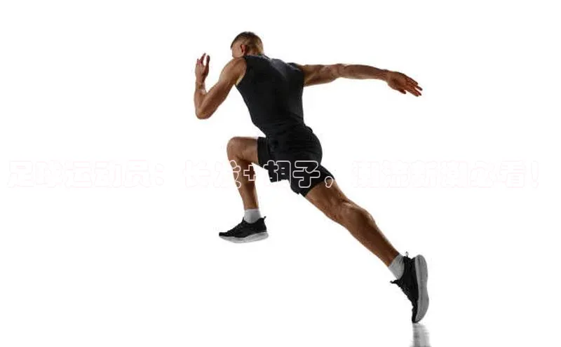 杏宇手游官网入口最新版本更新内容京东