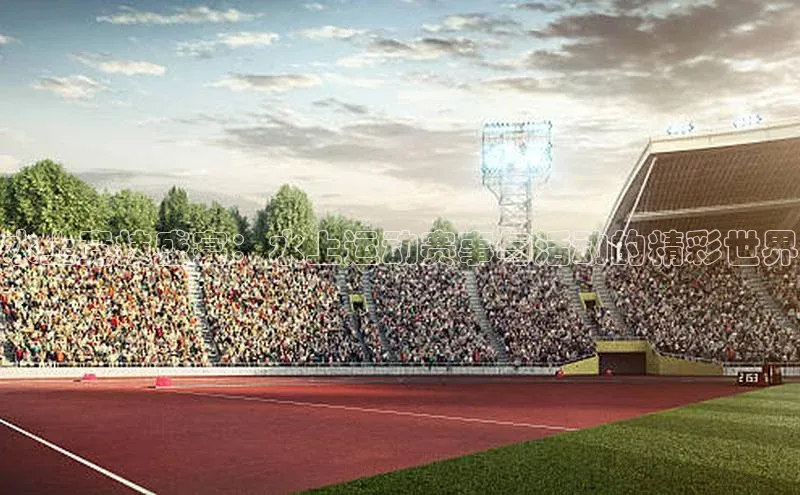 杏宇代理登录中心