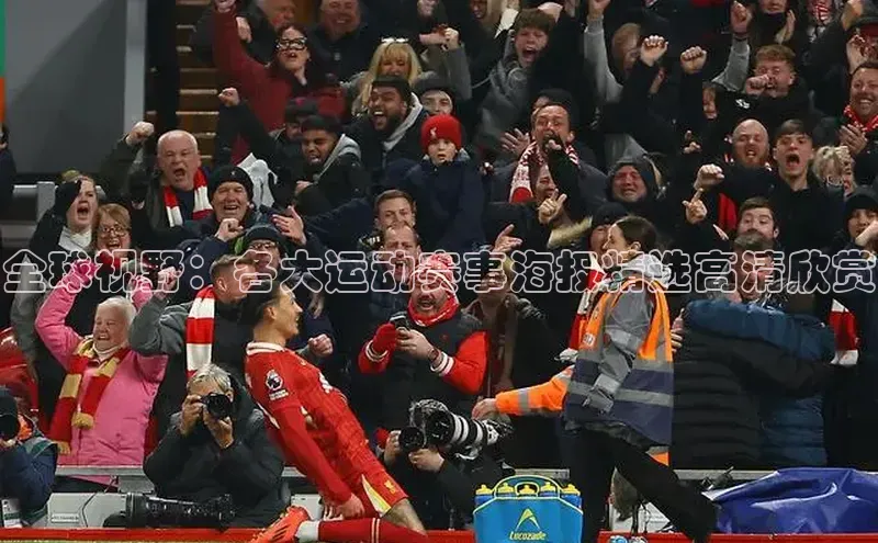 杏宇游戏中心官网入口