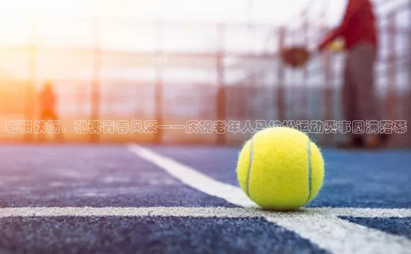 杏宇平台登录入口2024最新版