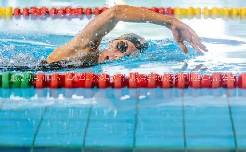 杏宇平台登录入口2024最新版