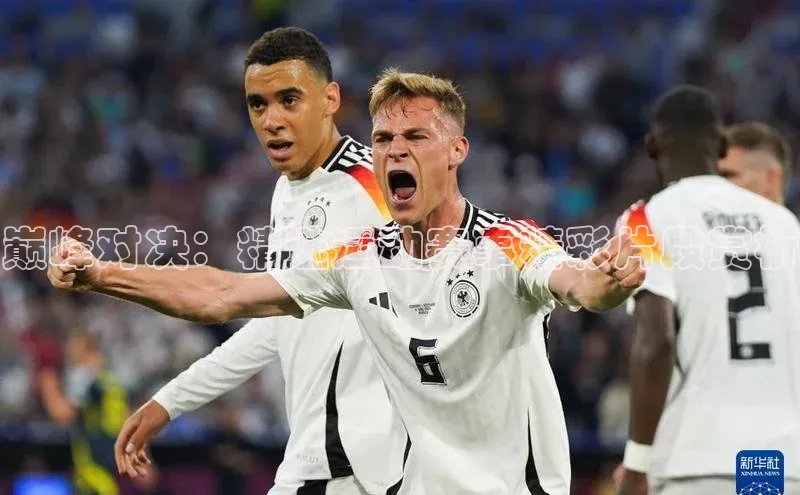 杏宇平台登录官网