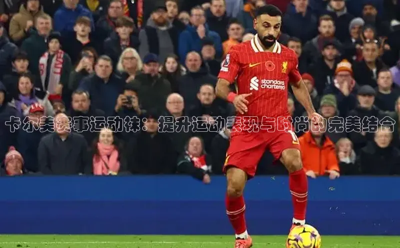 杏宇平台登录入口2024最新版