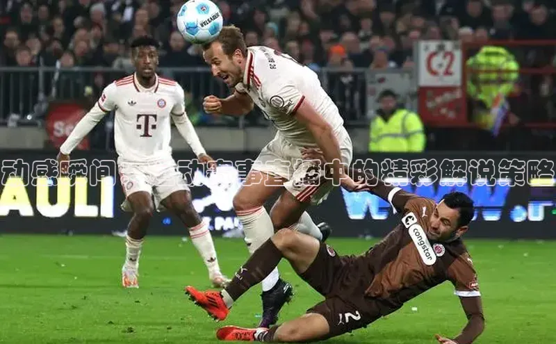 杏宇平台登录入口注册账号