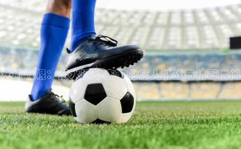 杏宇平台登录入口2024最新版