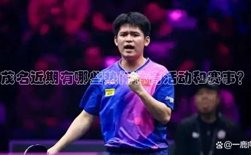 杏宇平台登录入口2024最新版