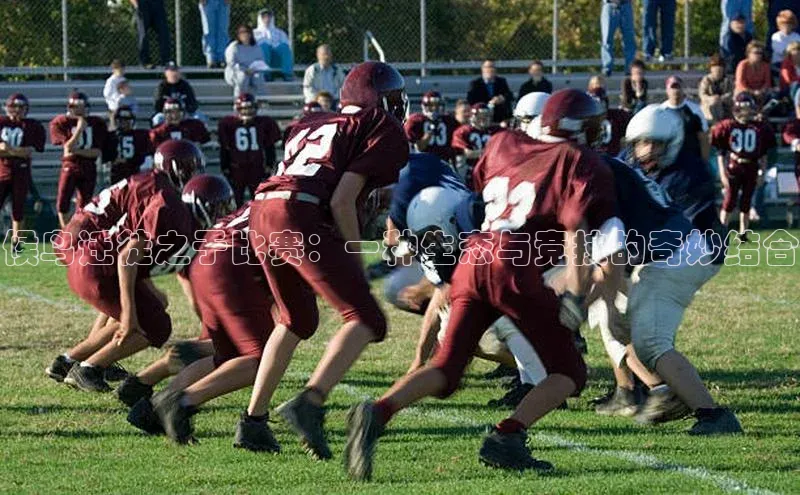 杏宇游戏中心官网入口