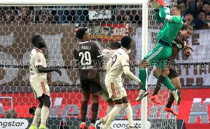 杏宇注册平台登录