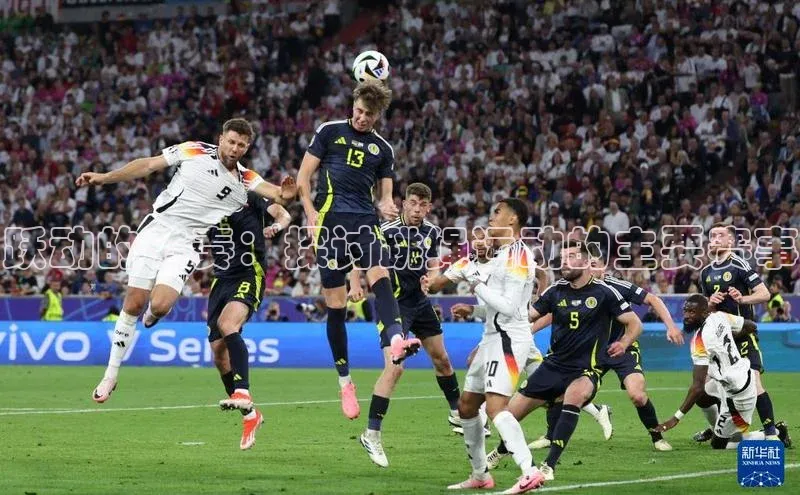 杏宇平台代理注册