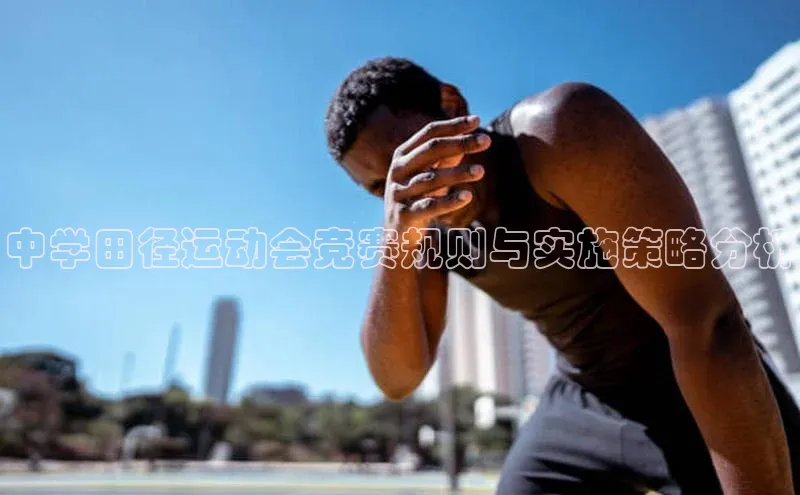 杏宇平台登录官网