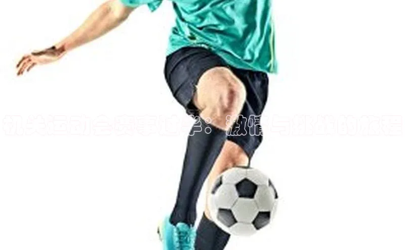 杏宇平台代理注册