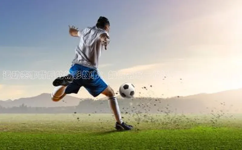 杏宇代理登录中心